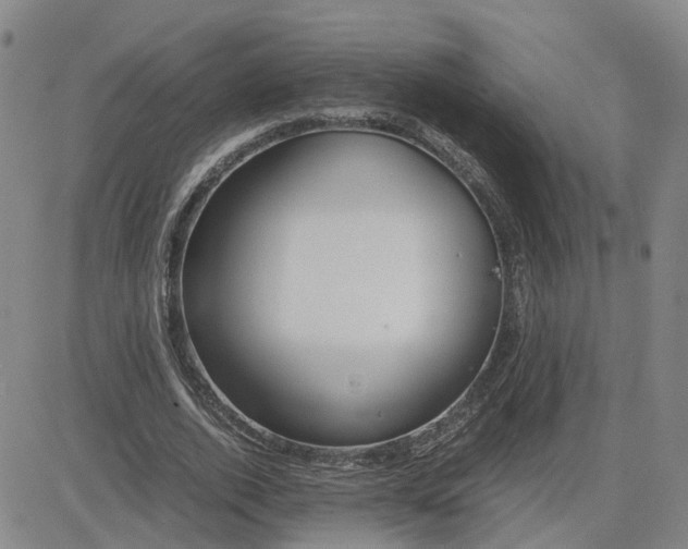 X0000083580728200702231654