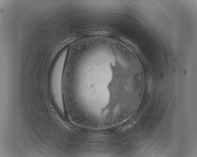 X0000083580729200702231654