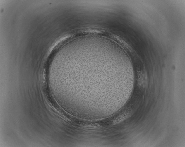 X0000083580731200702231654