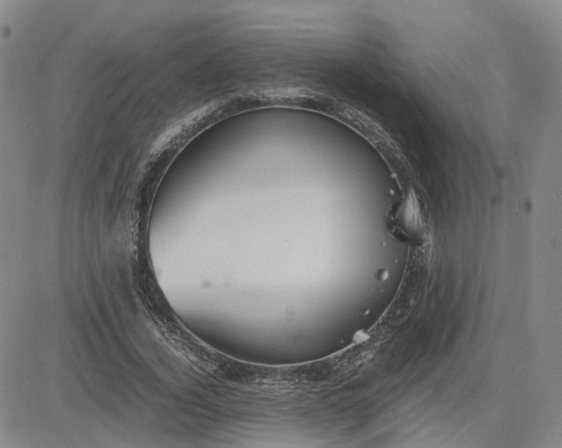 X0000083580732200702231654