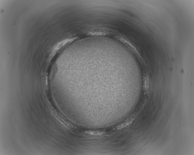 X0000083580733200702231654