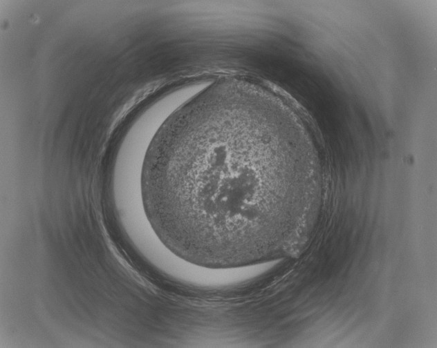 X0000083580734200702231654