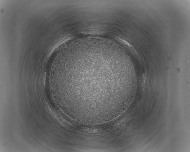 X0000083580735200702231654