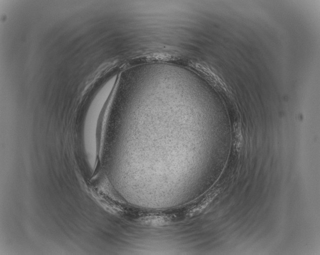 X0000083580738200702231654