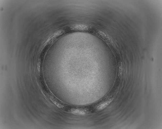 X0000083580739200702231655