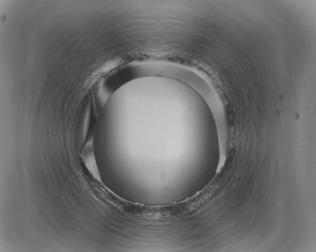 X0000083580740200702231655