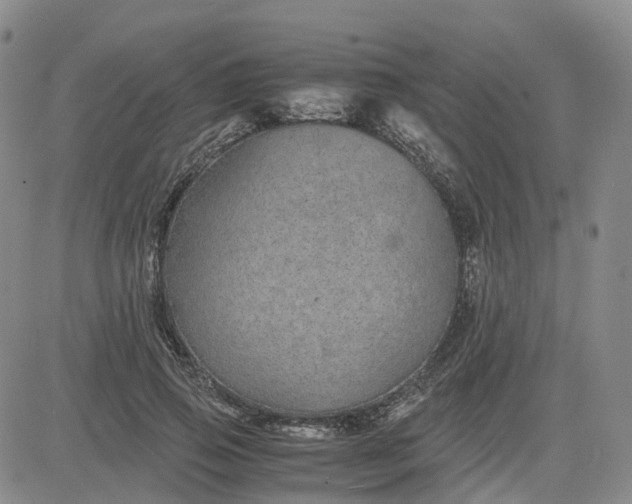 X0000083580741200702231655