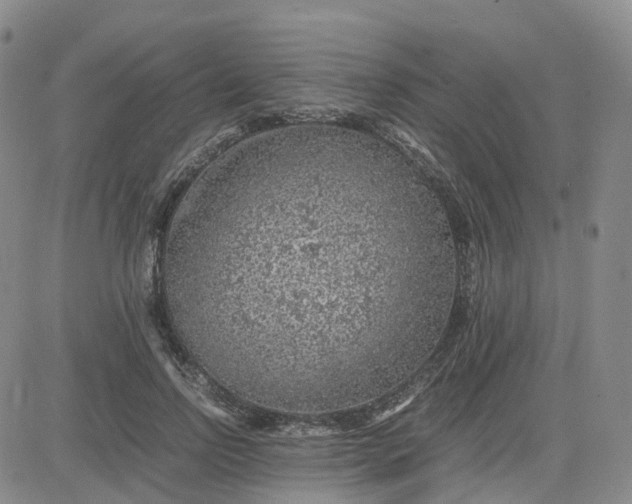 X0000083580742200702231655