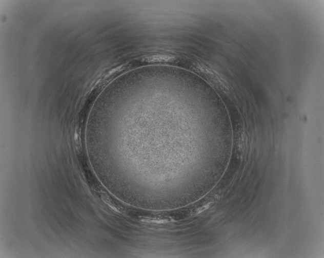 X0000083580743200702231655