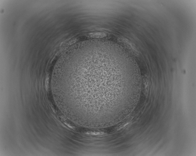 X0000083580745200702231655