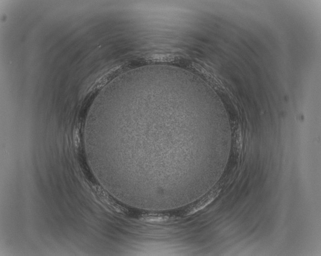 X0000083580746200702231655