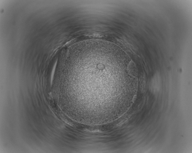 X0000083580747200702231655