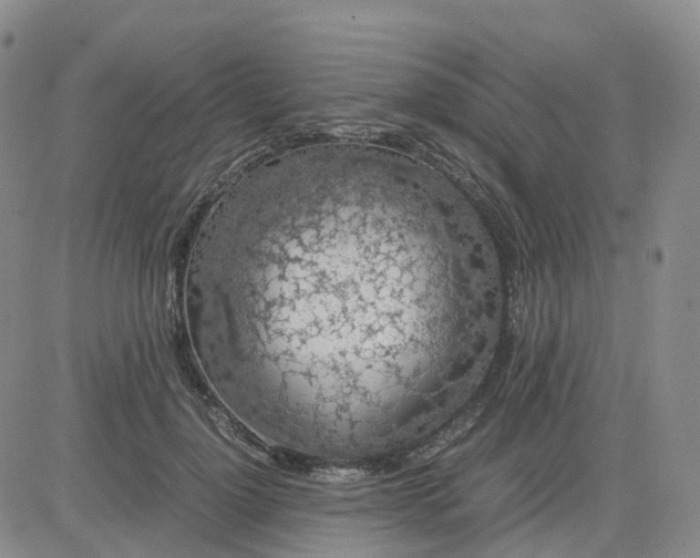 X0000083580748200702231655