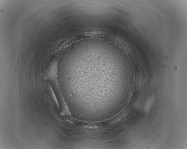 X0000083580749200702231655