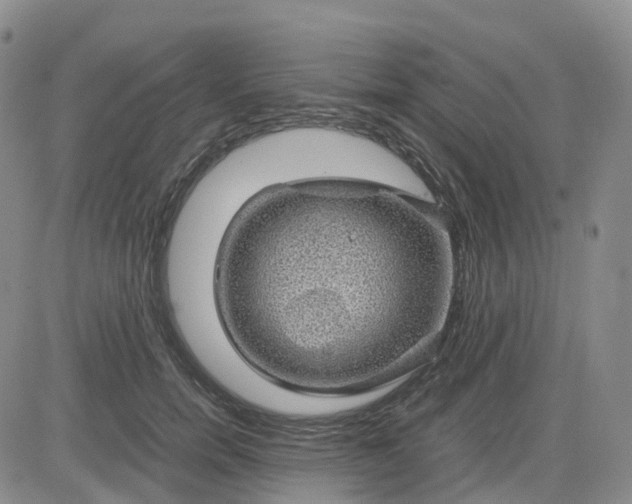 X0000083580750200702231655