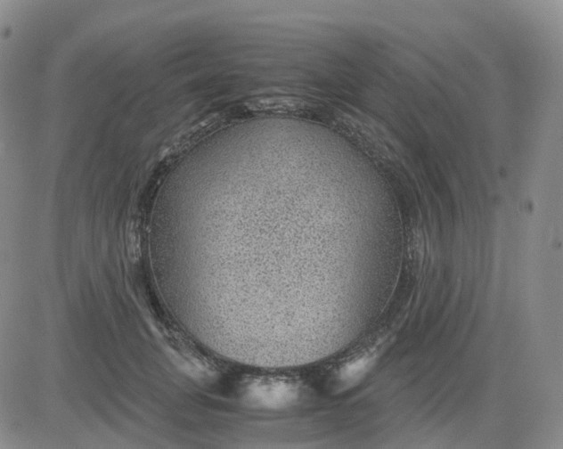 X0000083580751200702231655