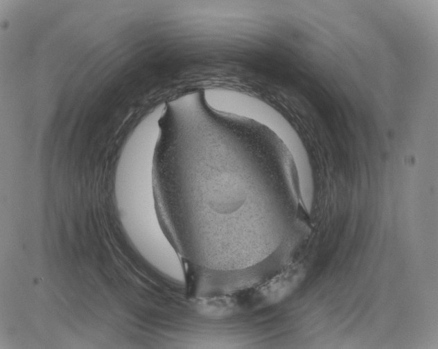 X0000083580752200702231655