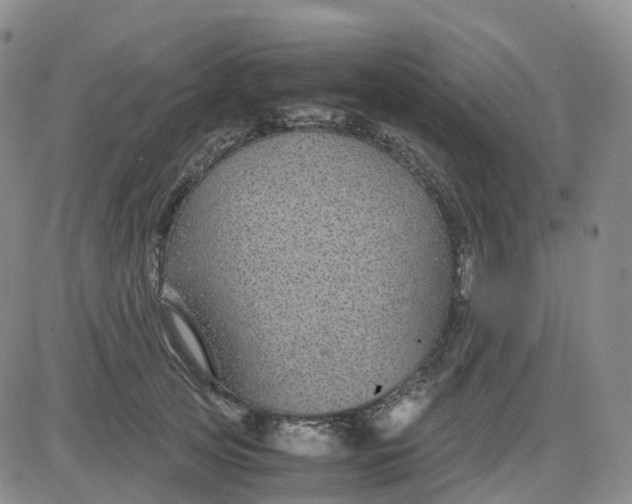 X0000083580753200702231655