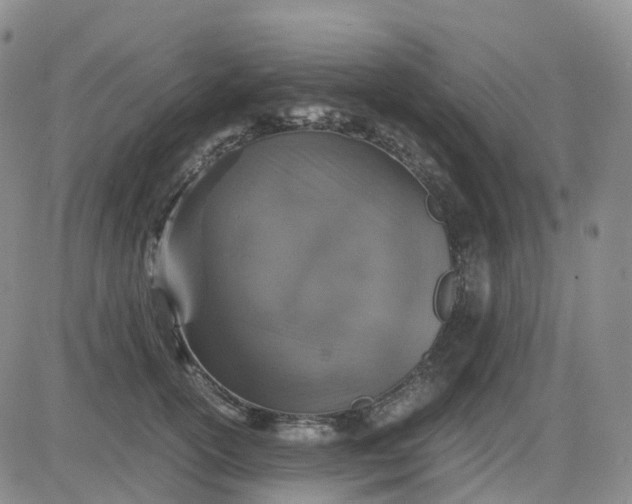 X0000083580754200702231655