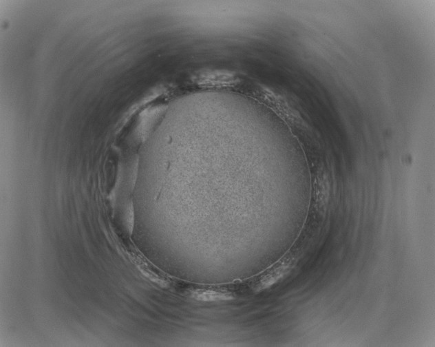 X0000083580755200702231655