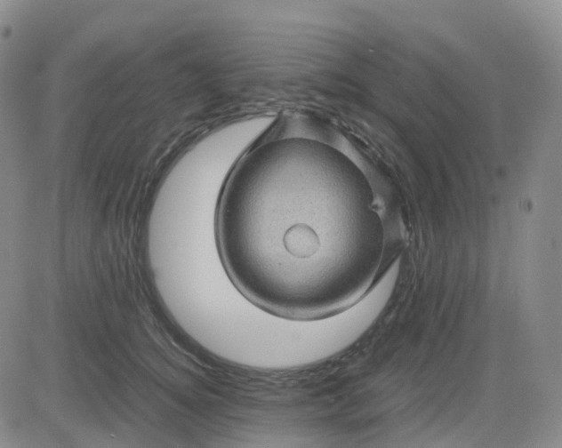 X0000083580756200702231655