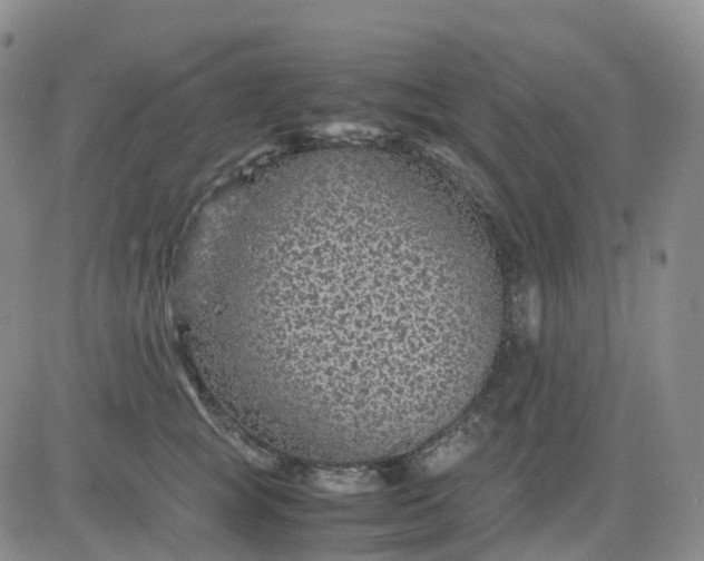 X0000083580757200702231655