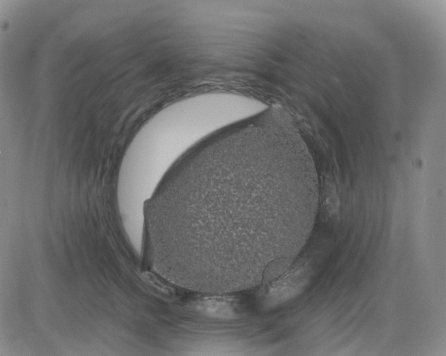 X0000083580758200702231655