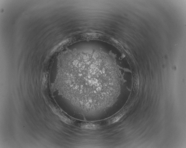 X0000083580759200702231655