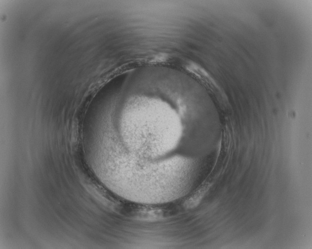 X0000083580760200702231655