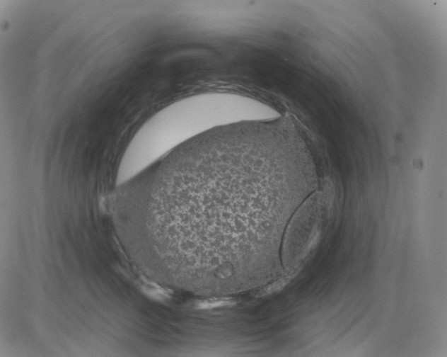 X0000083580761200702231655