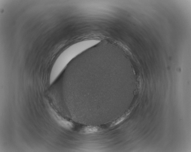 X0000083580762200702231655