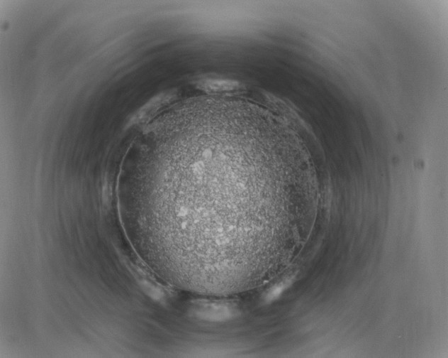 X0000083580763200702231655