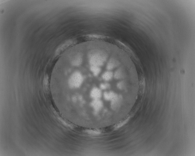 X0000083580765200702231655