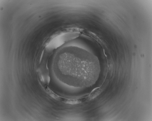 X0000083580767200702231655