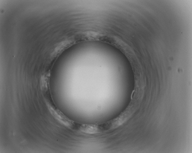 X0000083580768200702231655