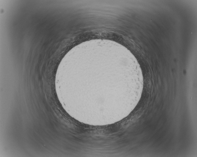 X0000083580769200702231654