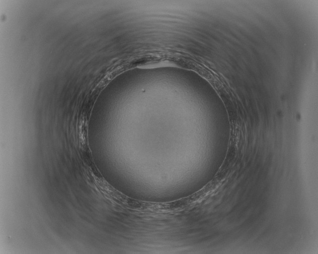 X0000083580770200702231654