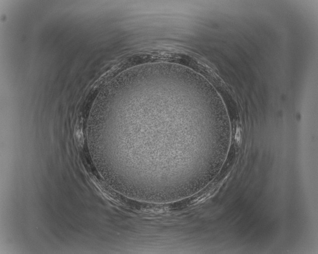 X0000083580771200702231654