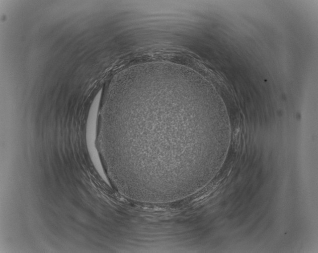 X0000083580772200702231654