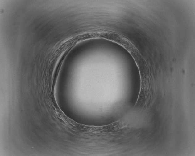 X0000083580773200702231654