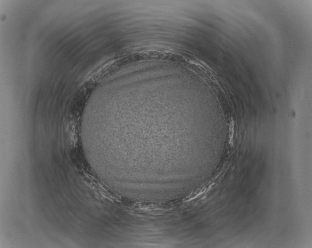 X0000083580774200702231654