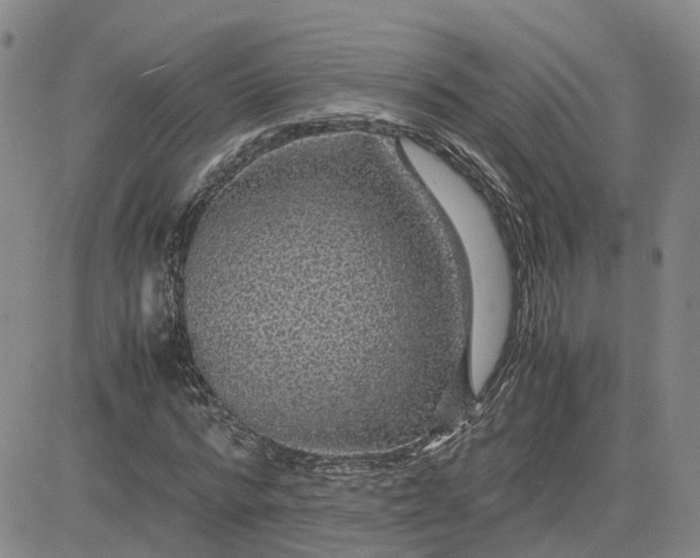 X0000083580776200702231654