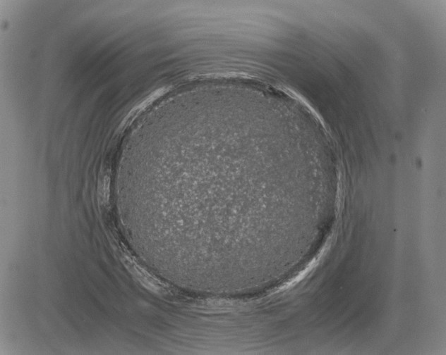 X0000083580777200702231654