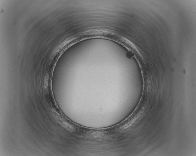 X0000083580778200702231654