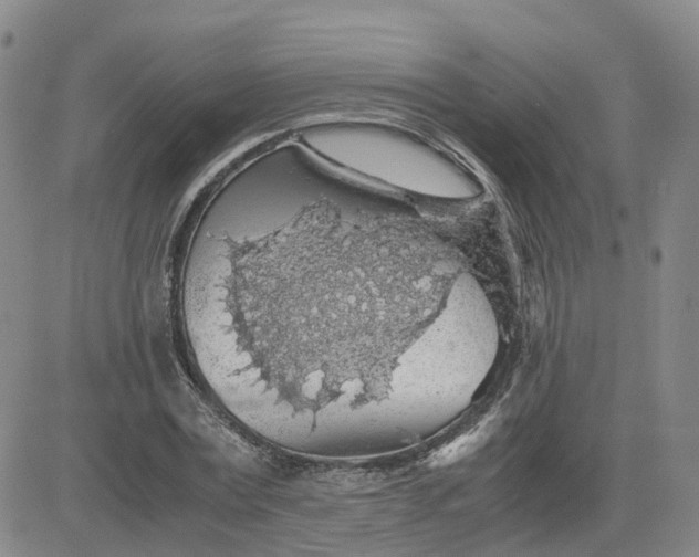 X0000083580779200702231654