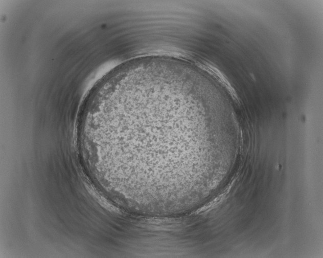 X0000083580780200702231654