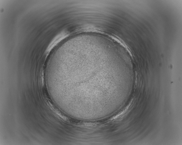 X0000083580782200702231654