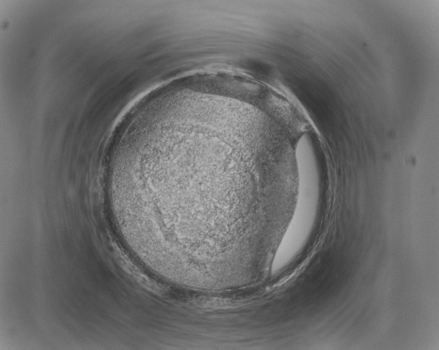 X0000083580783200702231654