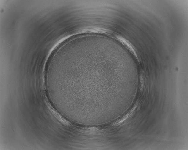 X0000083580784200702231654