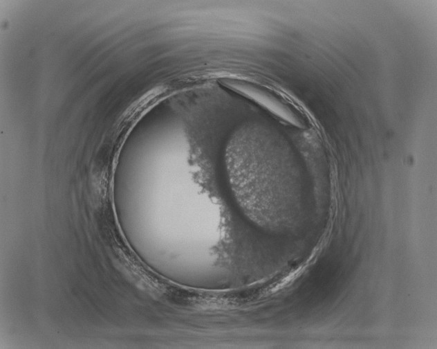 X0000083580785200702231654